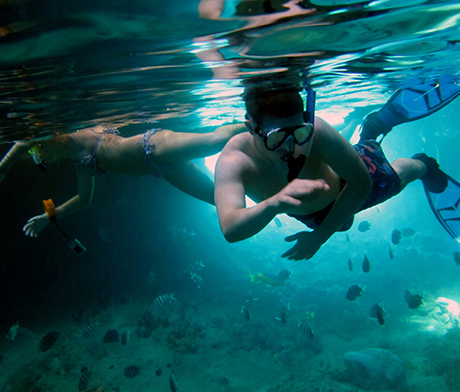 SNORKELING-E